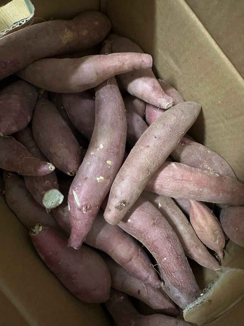 아찌아빠1님이 올린 리뷰 사진